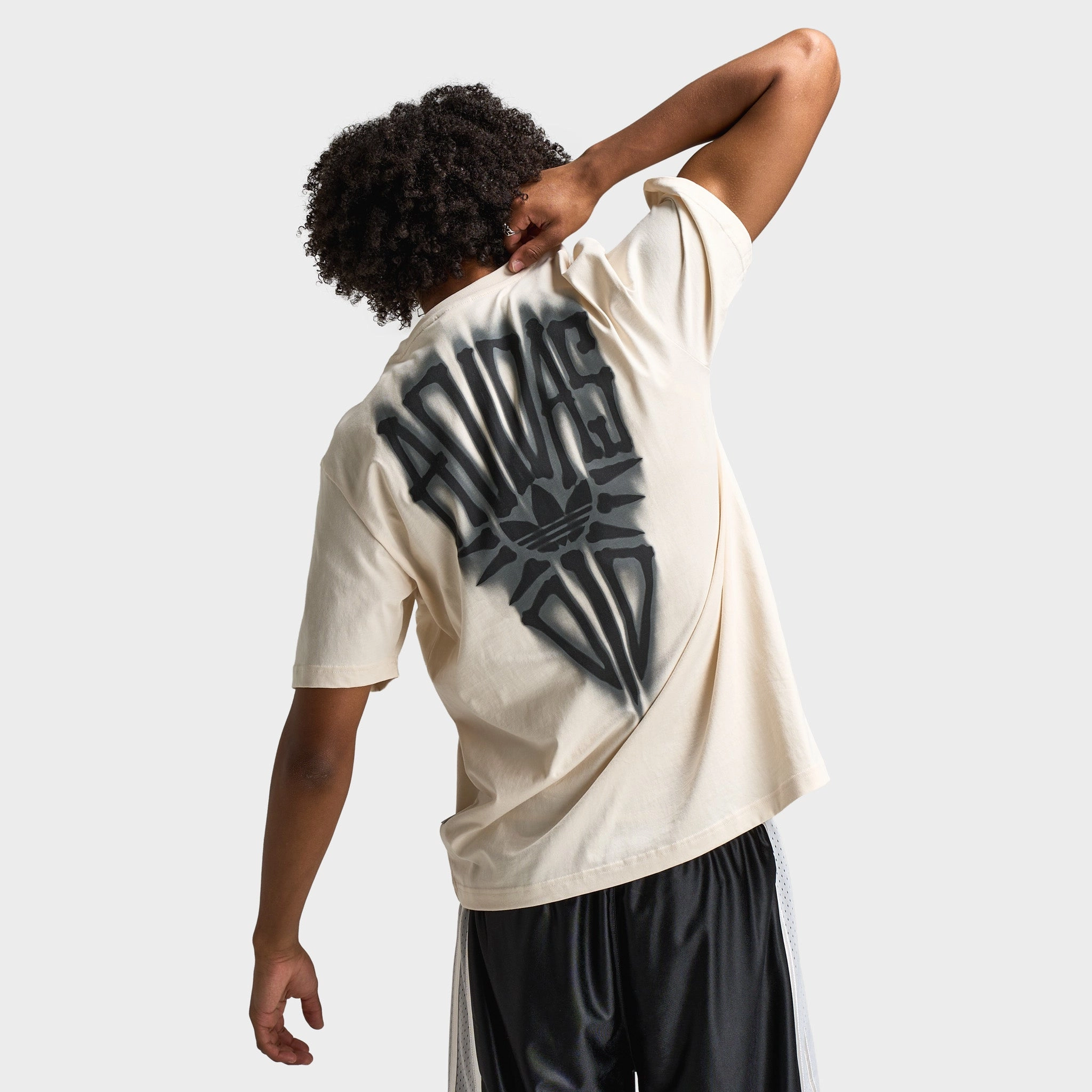 adidas Skeleton Graphic T-Shirt / Wonder White Entry - level