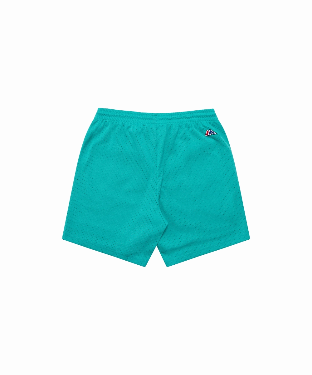 Train Ease TagFreeDesign Anaheim Mighty Ducks NHL Team Vintage Shorts (Faded Teal)