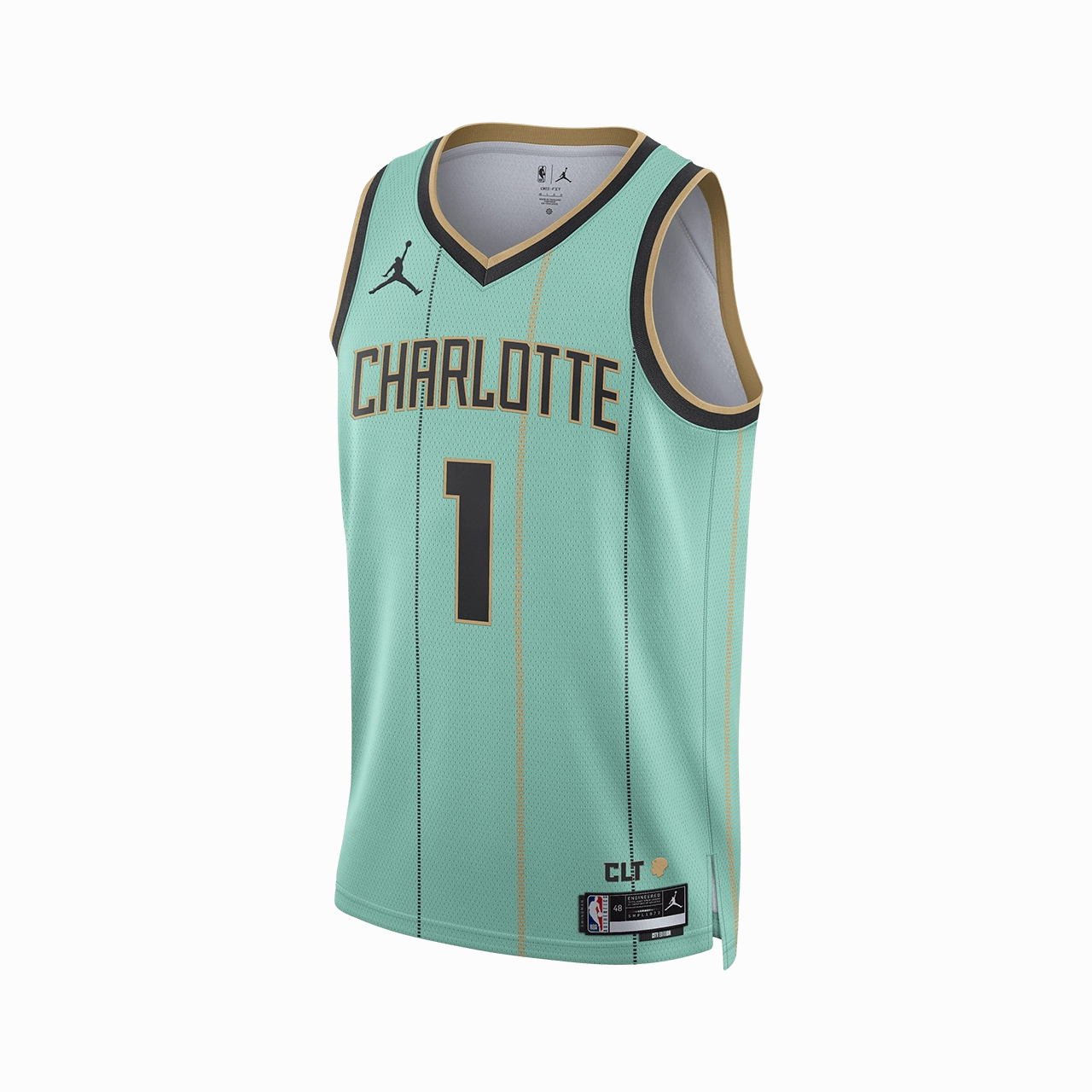 Taped Seams Nike Dri-FIT NBA 2024/25 City Edition Swingman Jersey - LaMelo Ball Charlotte Hornets