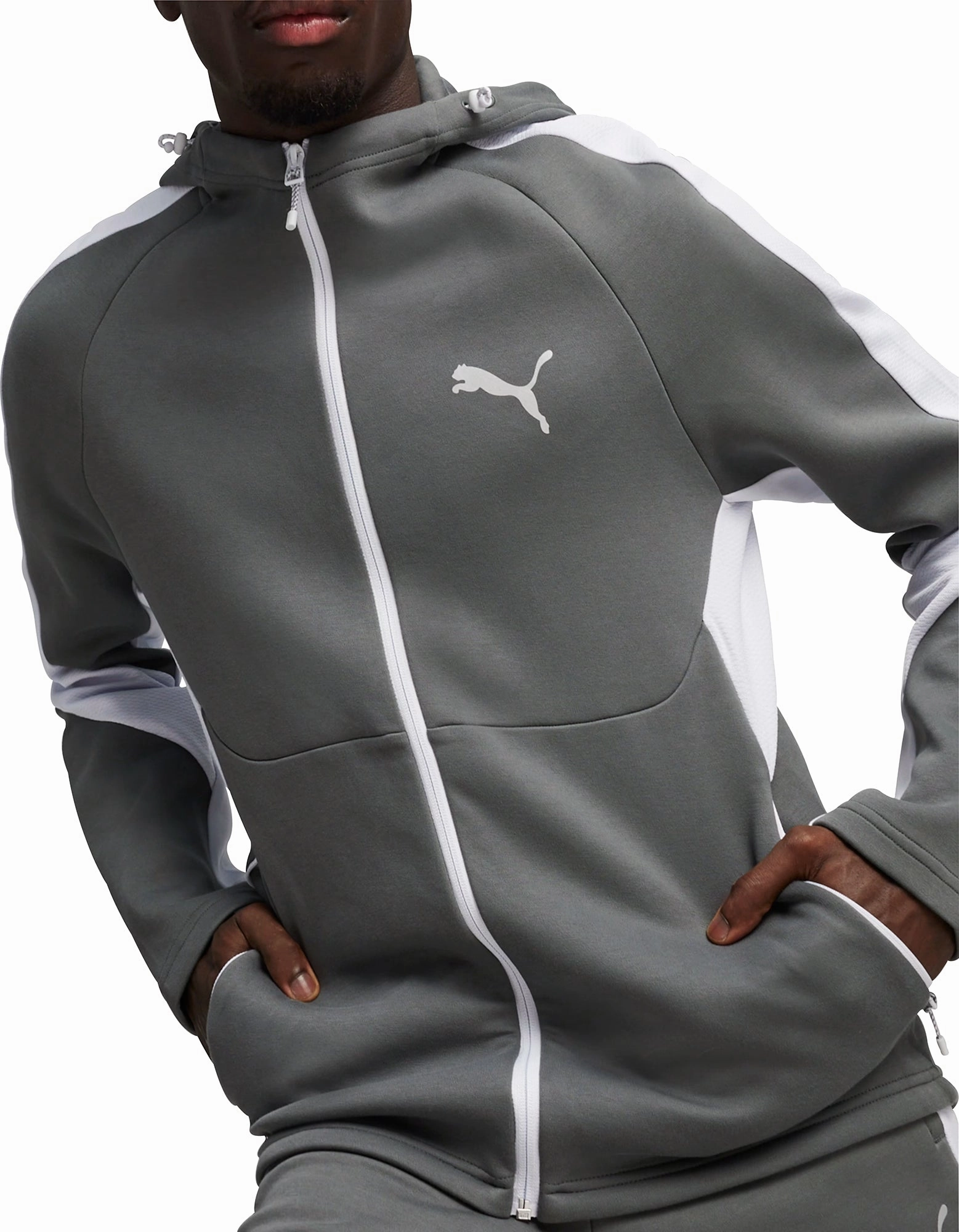 TaglessCollar Puma EvoStripe Full Zip Mens Training Hoody - Grey