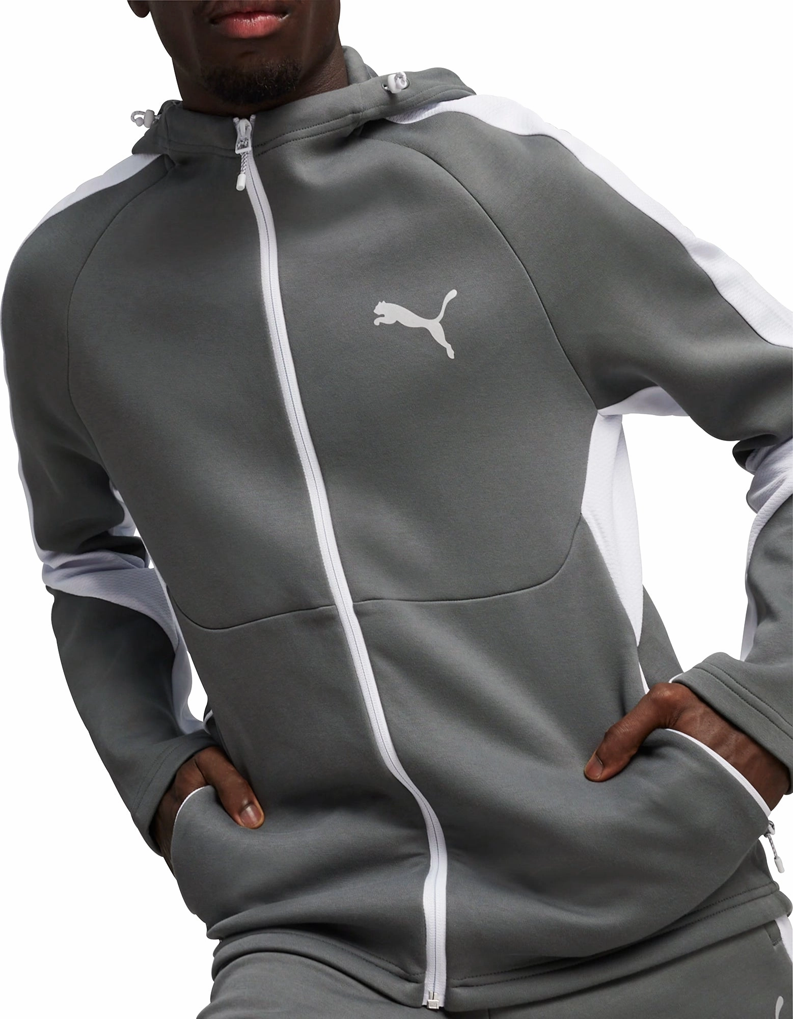 Puma EvoStripe Full Zip Mens Training Hoody - Grey SmoothEdgeTrim clean look
