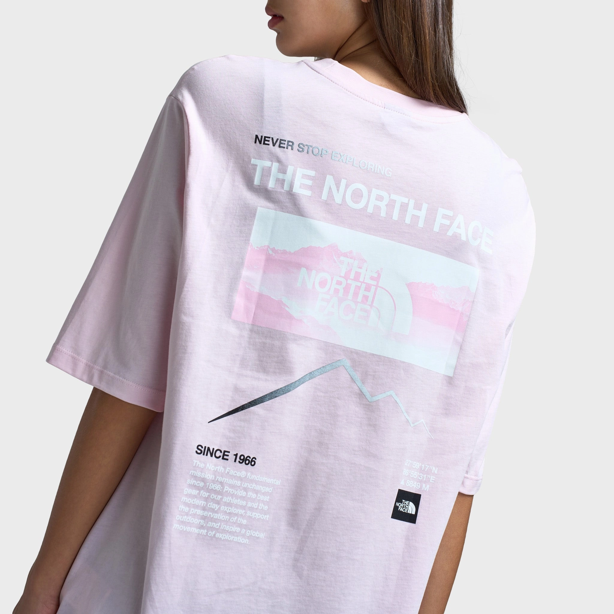 Sleeveless Weekend Style Trend The North Face Women's Gradient Flow Oversized Tee / Pale Blossom
