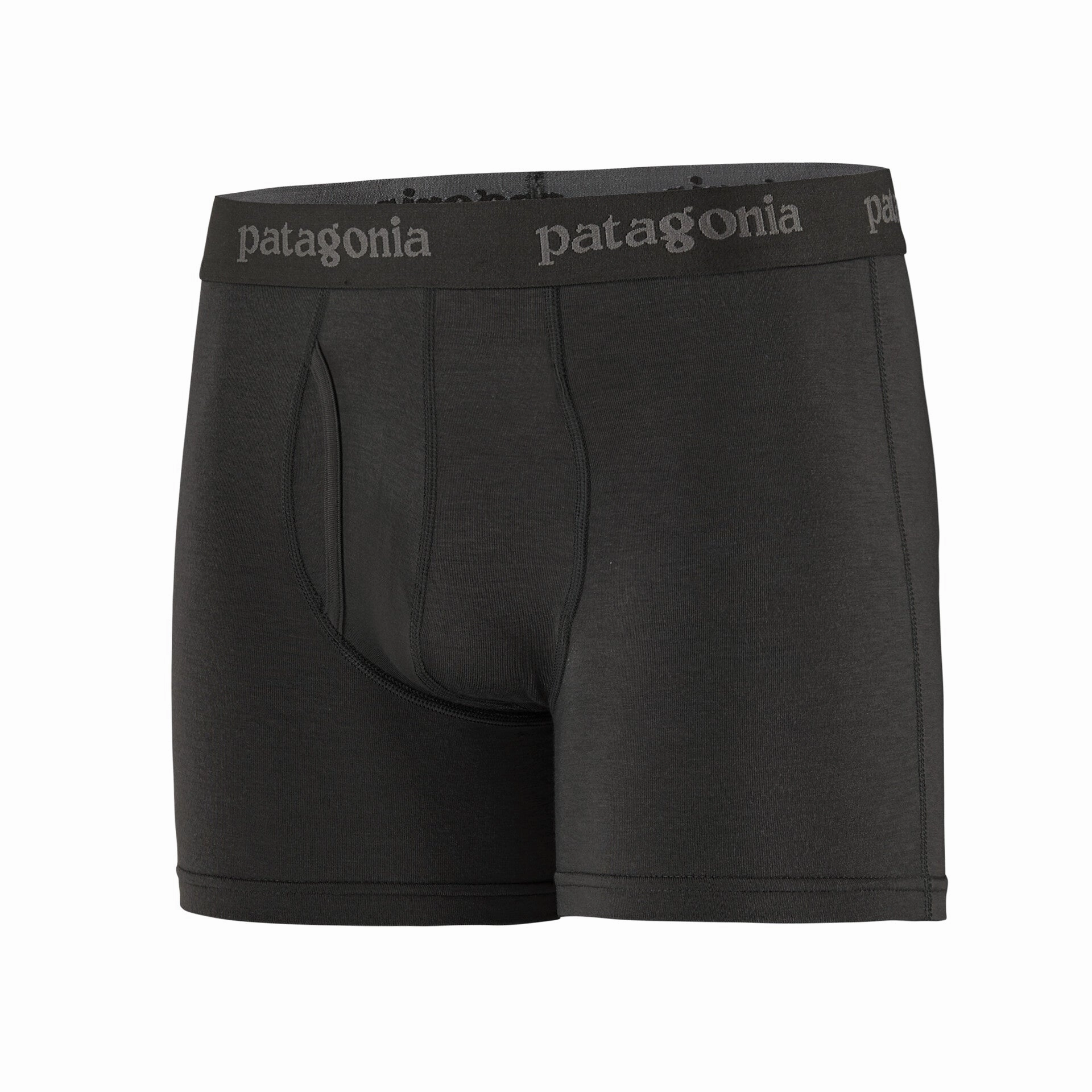 Patagonia Men's Essential 3 Inch Boxer Briefs Black WaterRepellentFinish