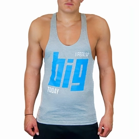 NoRubEdging CoreX Fitness I Feel So Big Today Stringer Mens Training Vest - Grey