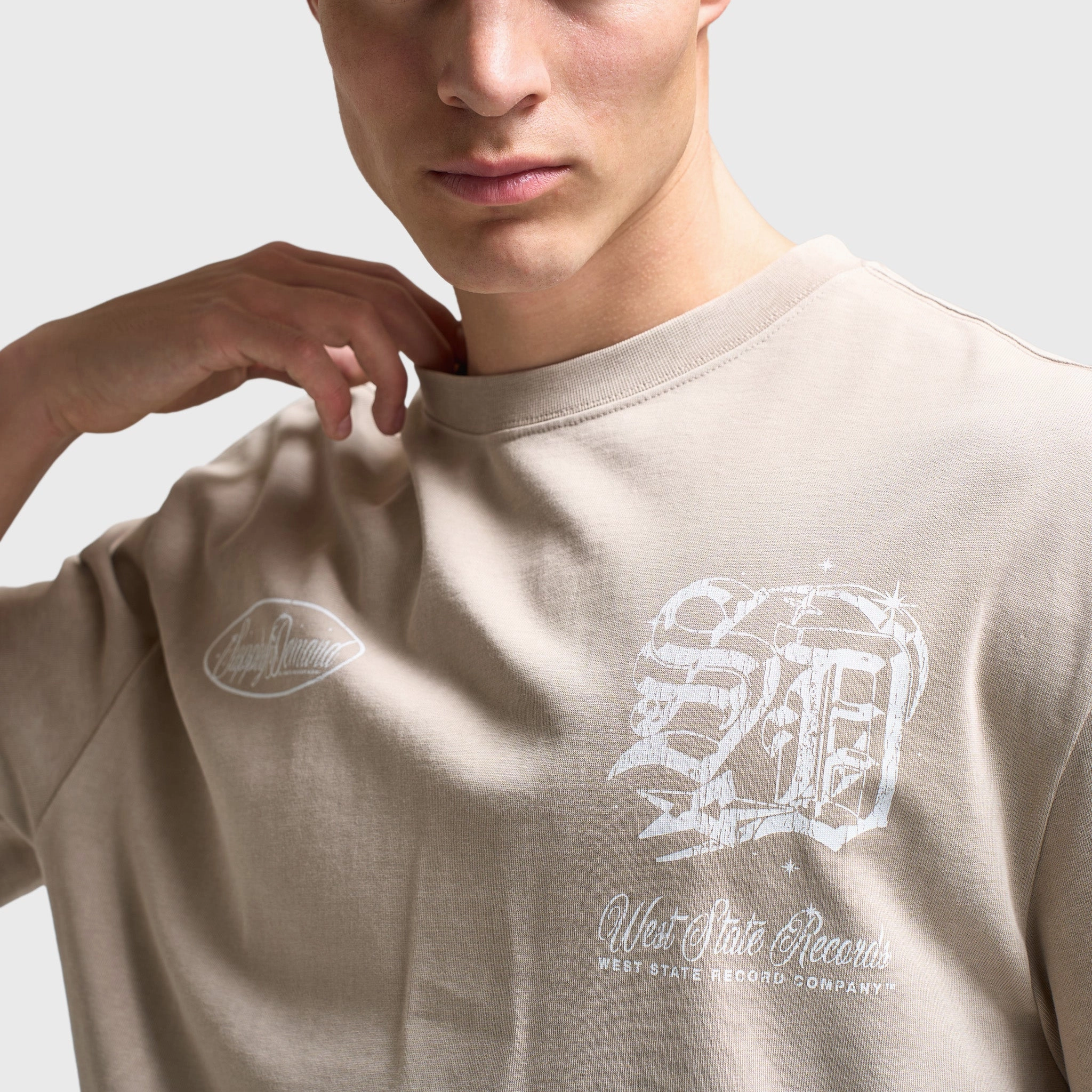 Supply & Demand Finley Graphic T-Shirt / Washed Taupe Smooth - operating