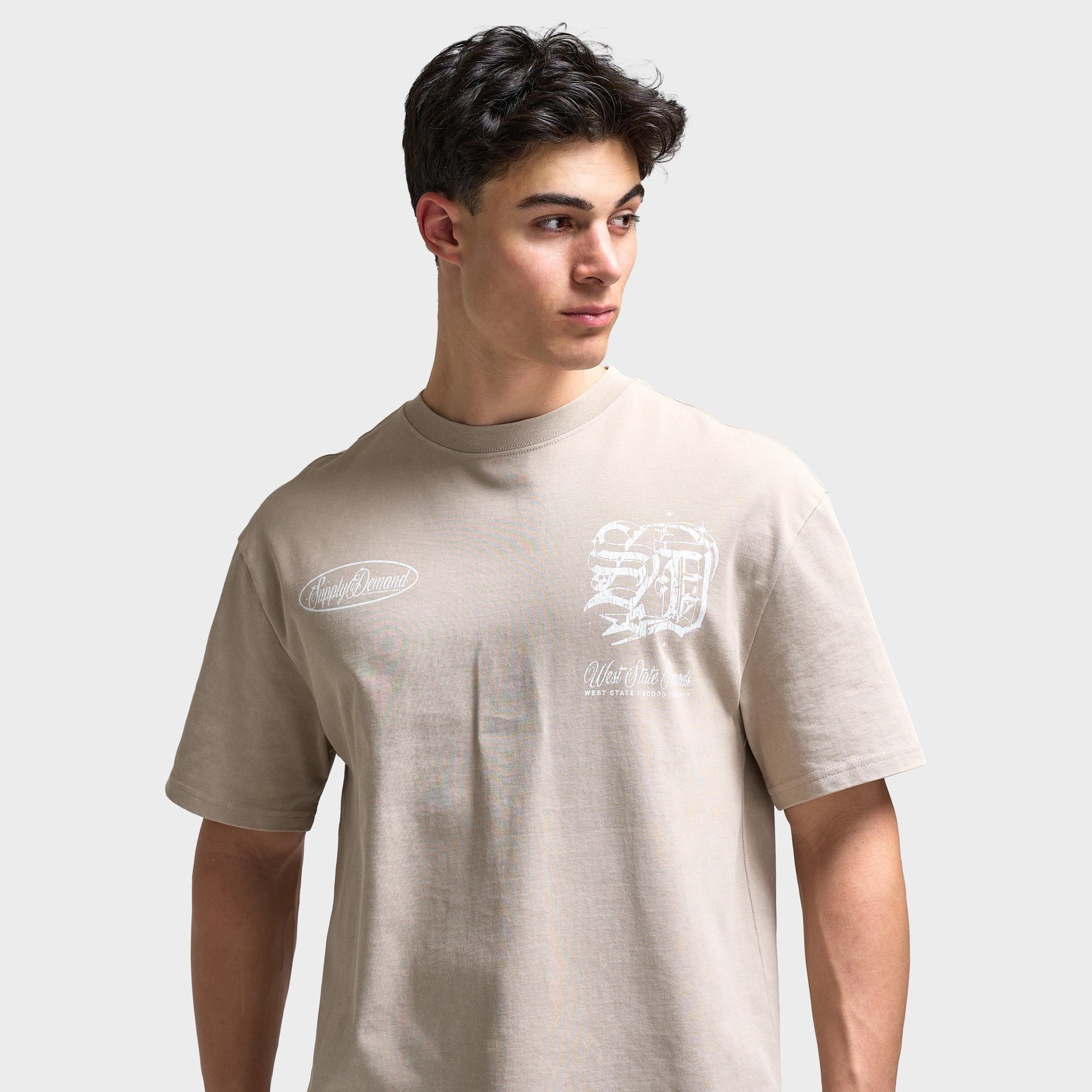 Supply & Demand Finley Graphic T-Shirt / Washed Taupe Ribbed Cuffs