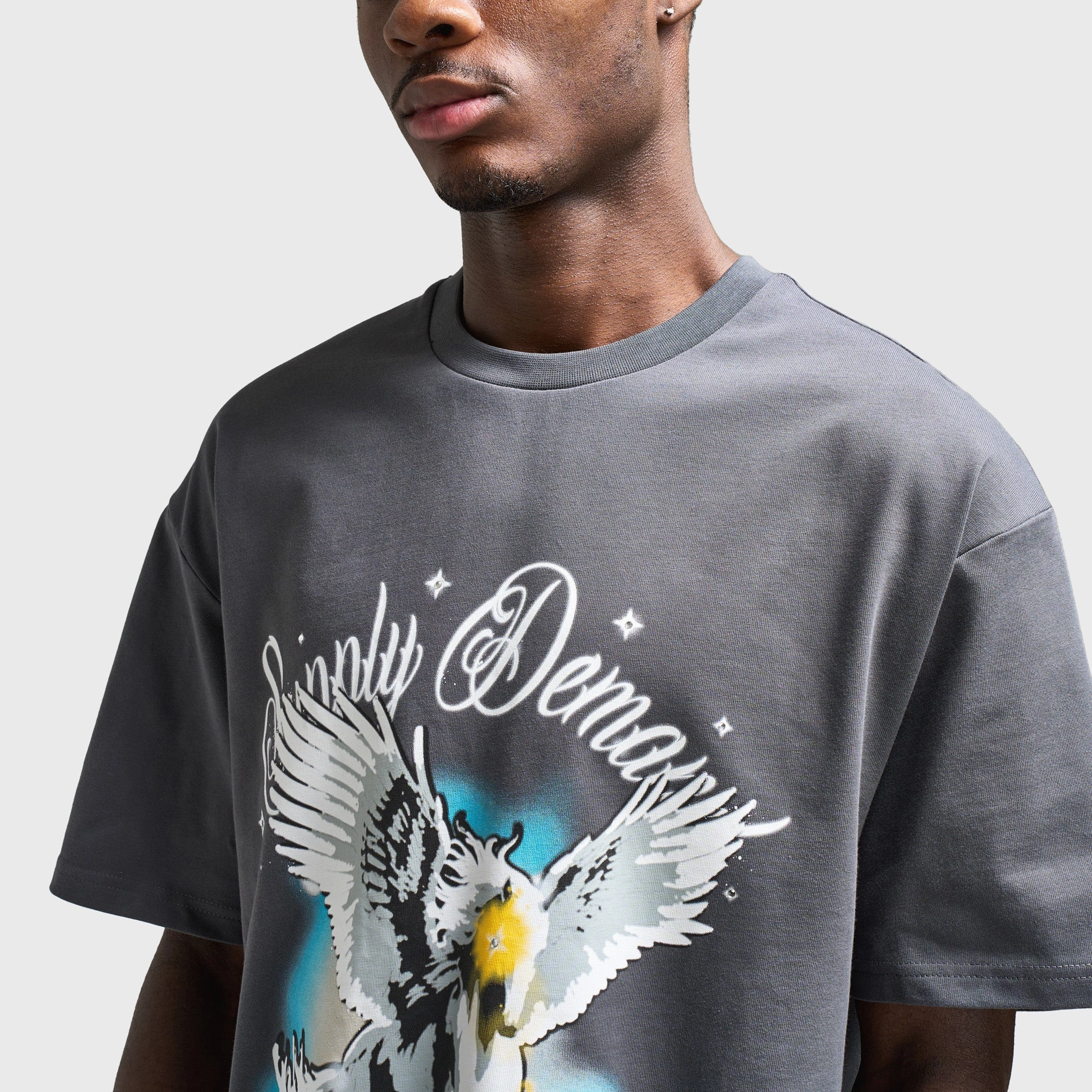 Supply & Demand Pegasus Graphic T-Shirt / Irongate female users