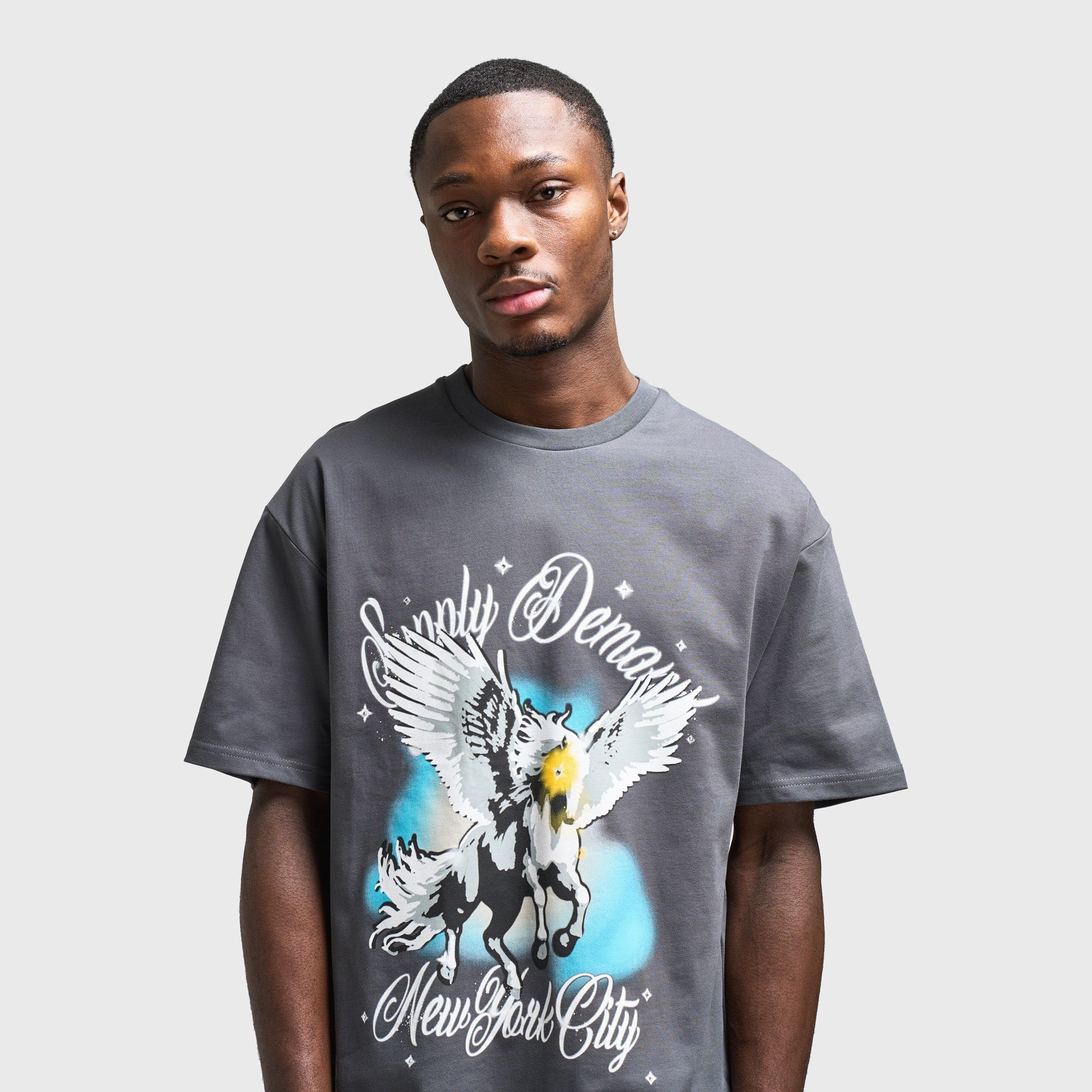 Supply & Demand Pegasus Graphic T-Shirt / Irongate Easy Fresh Compression Fit