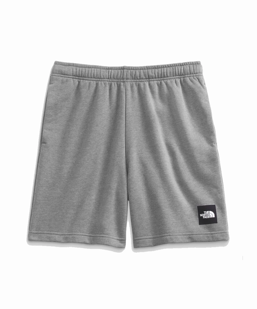 The North Face Box NSE Shorts (Grey Heather) Cloud Core Cool Frame