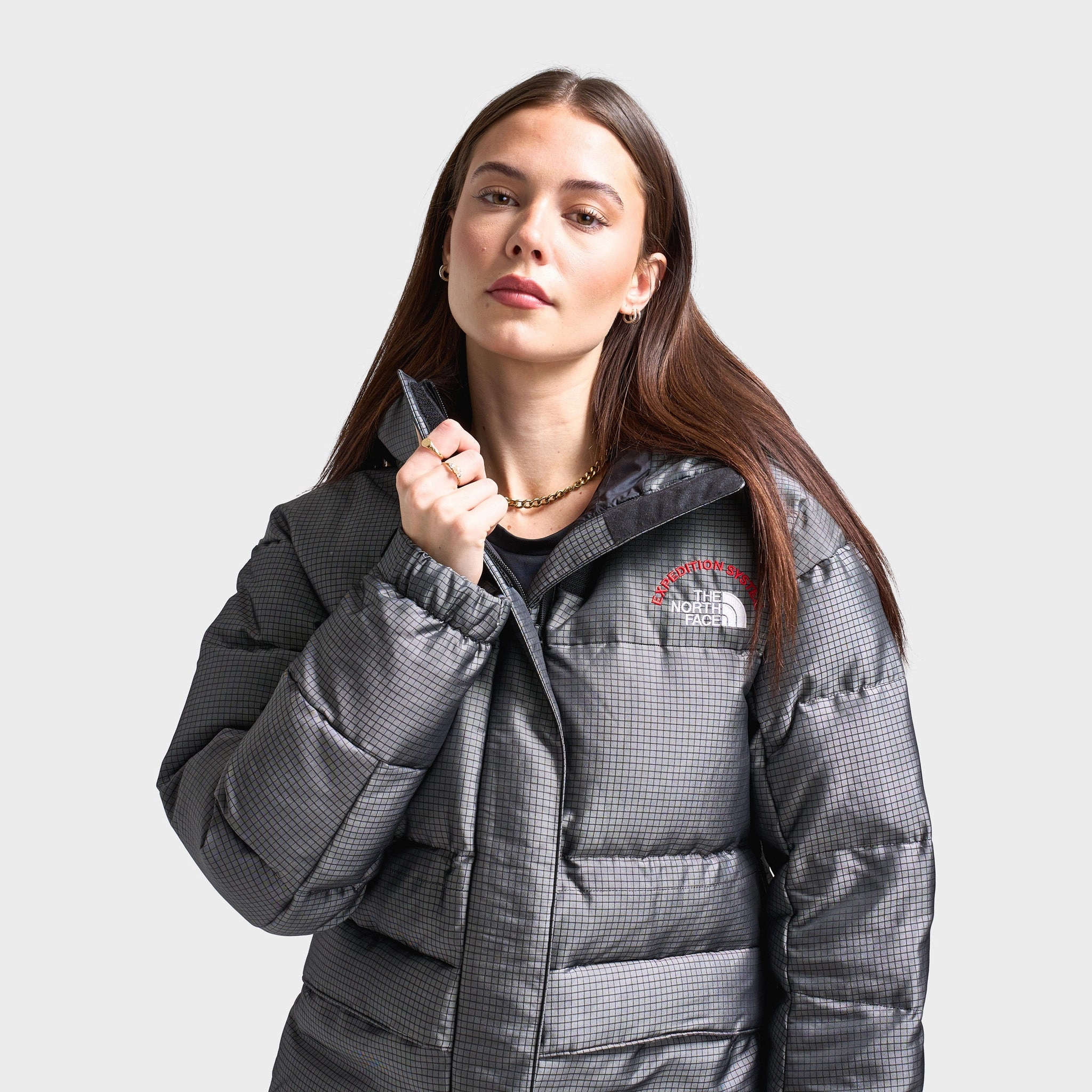 The North Face HMLYN 30 Anniversary Parka / Moonstone Foldable Design